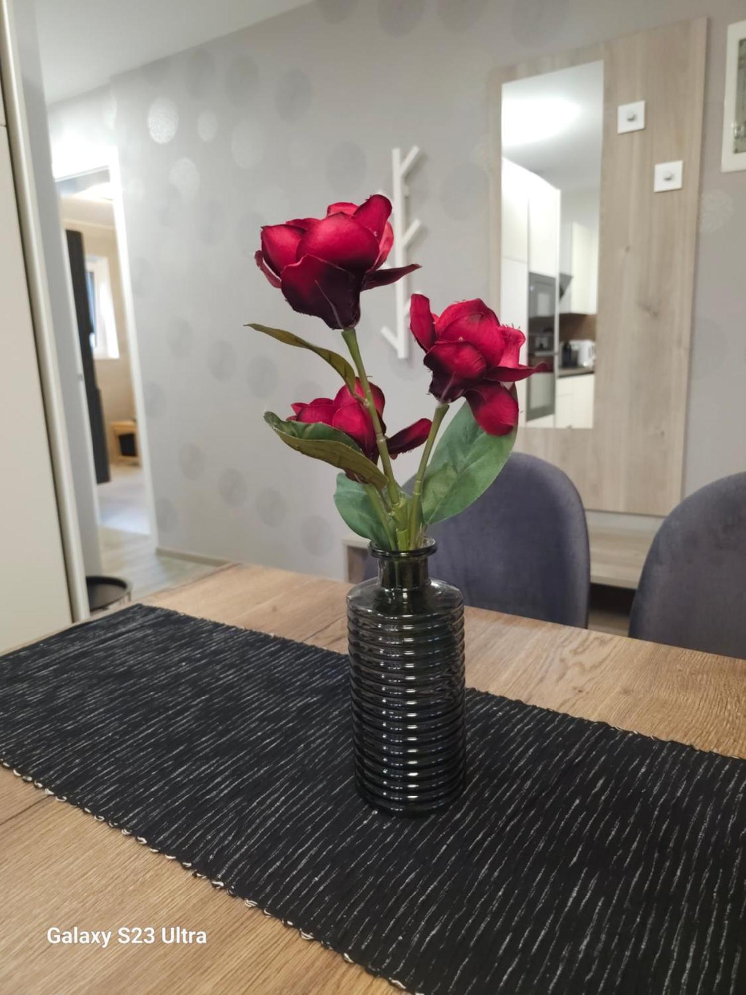 Prima Countryside Apartments Zirovnica Phòng bức ảnh
